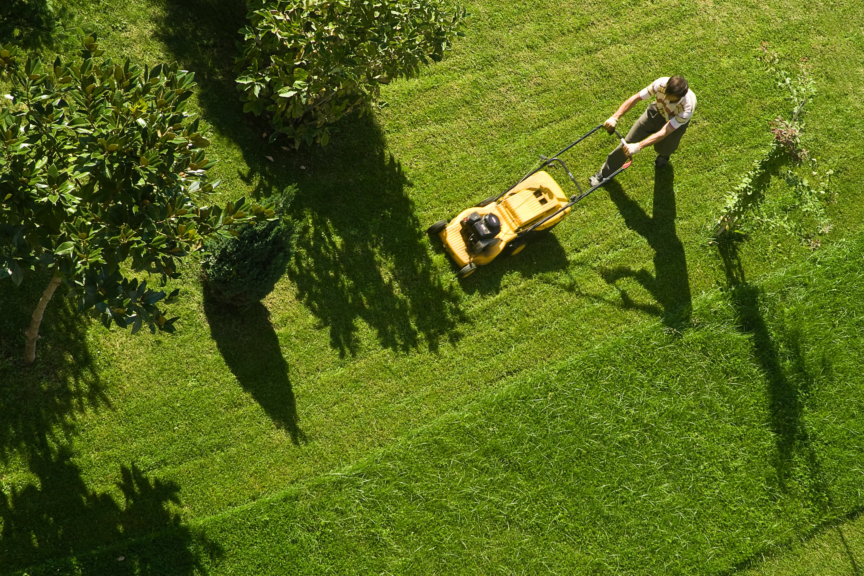Maintenance & Cleanup