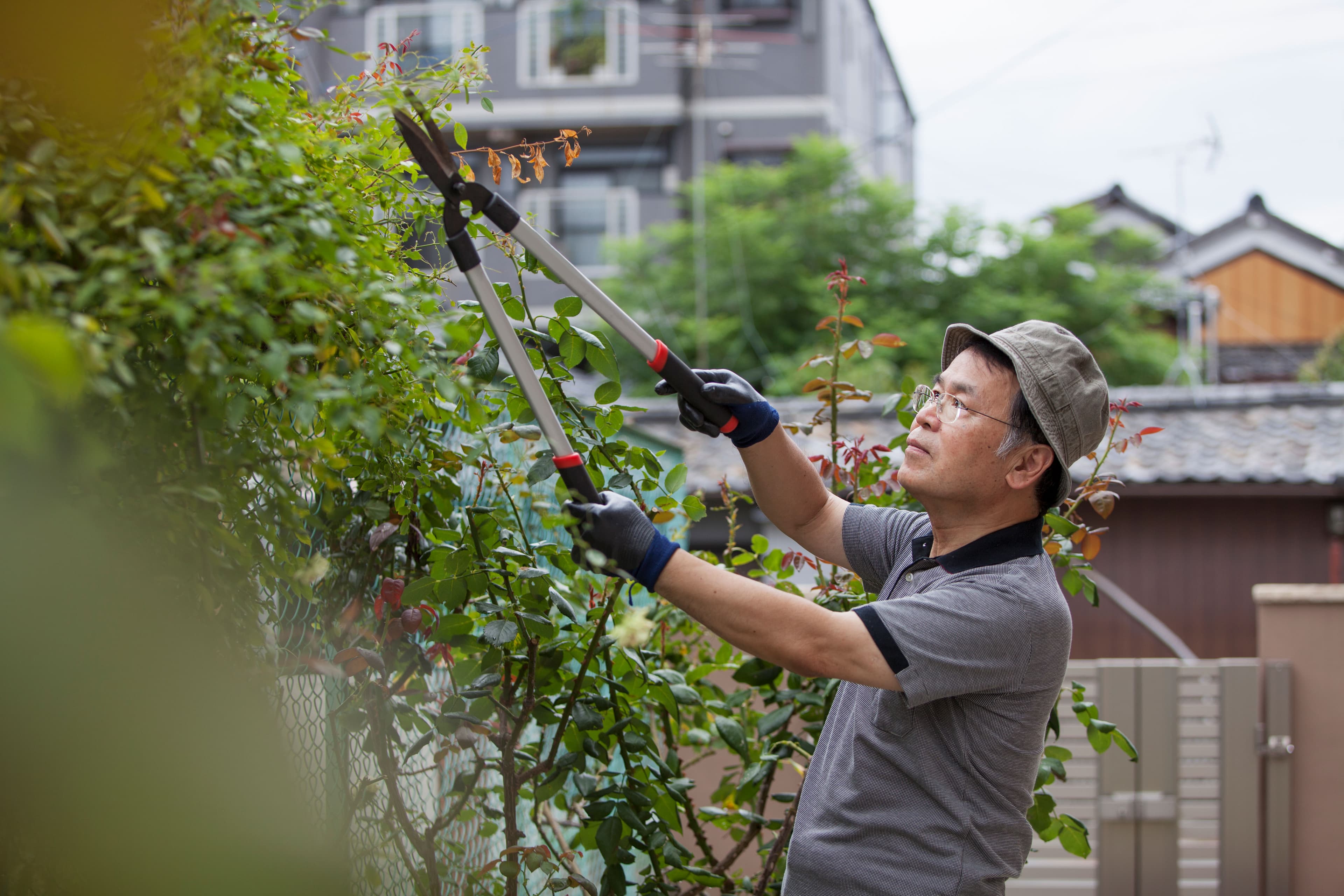 Planting & Care